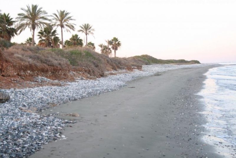 Mazotos 85100 m² Großes touristisches Baugrundstück am Meer Grundstück kaufen