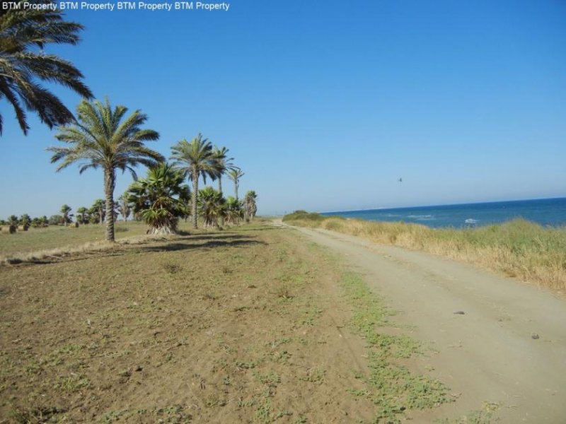 Mazotos 85100 m² Großes touristisches Baugrundstück am Meer Grundstück kaufen