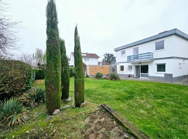 Landau in der Pfalz Lichtdurchflutetes Einfamilienhaus mit Flachdach und großem Garten in ruhiger Lage Haus kaufen