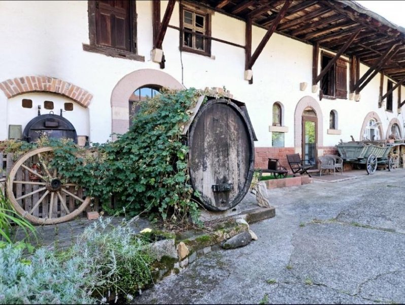 Rohrbach (Landkreis Südliche Weinstraße) Charmantes Winzeranwesen mit angrenzender Scheune und historischen Akzenten Haus kaufen