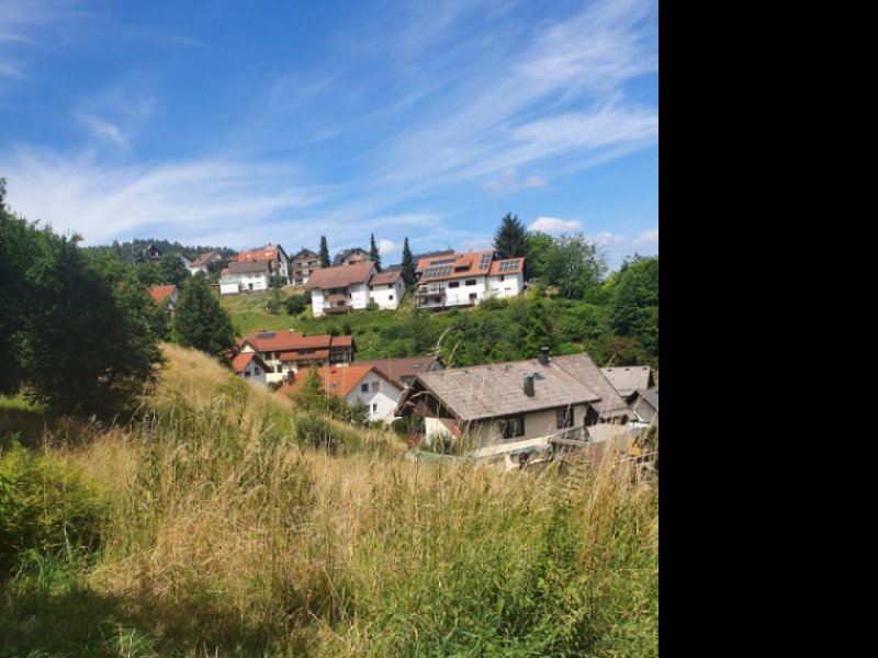 Bühlertal BÜHLERTAL: WOHNGRUNDSTÜCK 1464 m2! Teilweise im Landschaftsschutzgebiet mit unverbaubarer Aussichtslage. Grundstück kaufen