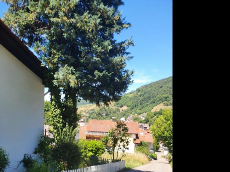 Bühlertal BÜHLERTAL: WOHNGRUNDSTÜCK 1464 m2! Teilweise im Landschaftsschutzgebiet mit unverbaubarer Aussichtslage. Grundstück kaufen