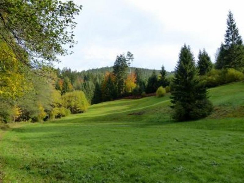 Villingen-Schwenningen rentable Mineralwasserquelle mit bester Wasserqualität zu verkaufen Gewerbe kaufen