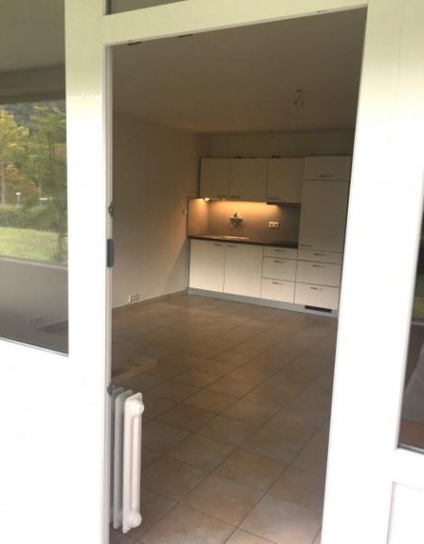 Büsingen am Hochrhein **1A RHEINBLICK im HOCHPARTERRE** Wohnung kaufen