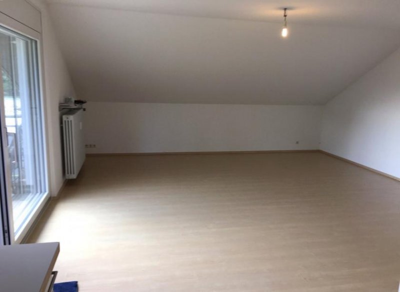 Büsingen am Hochrhein **1A RHEINBLICKWOHNUNG INKL, GARAGE UND BADEPLATZ ** Wohnung kaufen