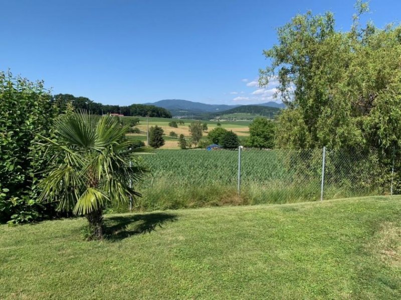 Efringen-Kirchen EFH mit 3 Carports & Pool "traumhafte Randlage" Haus kaufen