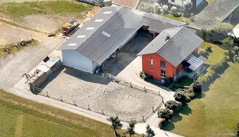 Klettgau Einfamilienhaus inkl. Einliegerwohnung und Reitstall bzw. Gewerbehalle mit Reitplatz und Carport Haus kaufen