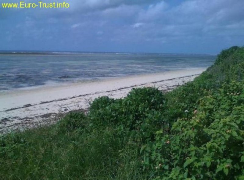 Kikambala BEACH PLOT HOUSE - FOR SALE IN KANAMAI Haus kaufen