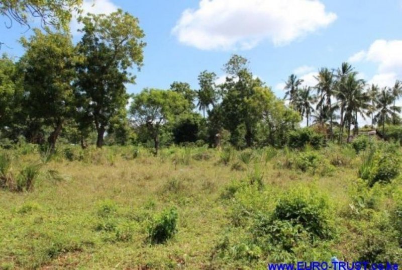 Kilifi INVESTMENT: 2ac PLOT FOR SALE IN KILIFI Grundstück kaufen