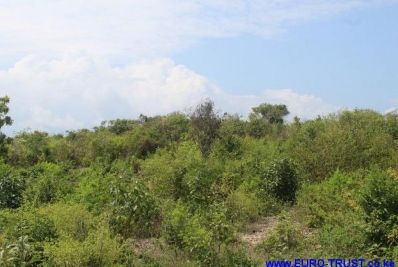 Malindi Malindi 12 Acres second row to the beach Gewerbe kaufen