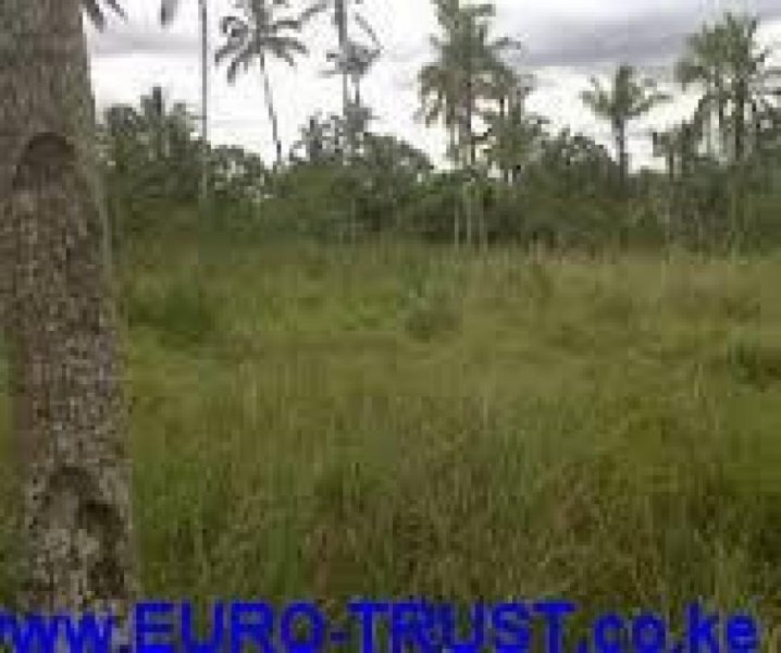 Mtwapa 1/4 ACRE PLOT FOR SALE IN MTWAPA NEAR MARINA RESTAURANT Grundstück kaufen