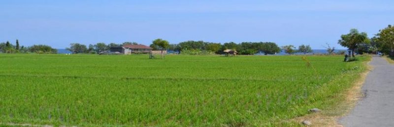 Seririt Beachfront - Baugrundstück Bali Grundstück kaufen