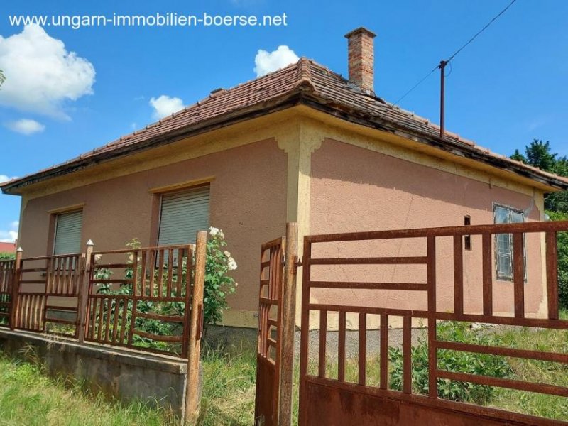 Lepseny Haus mit großem Grundstück und Weinkeller Haus kaufen