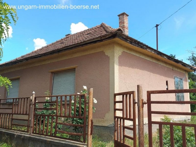 Lepseny Haus mit großem Grundstück und Weinkeller Haus kaufen