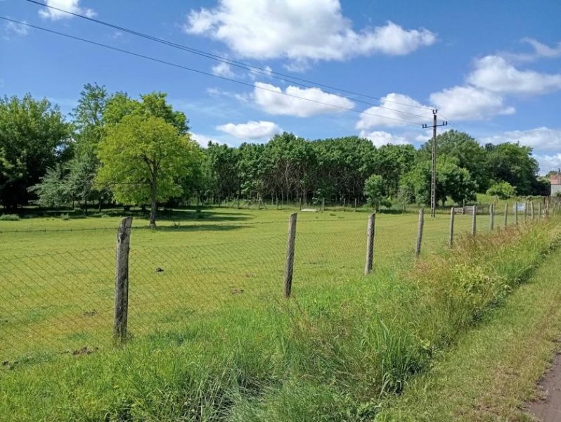 Lajoskomarom Baugrundstück mit Reitstall und Kaiserbaumbestand Grundstück kaufen