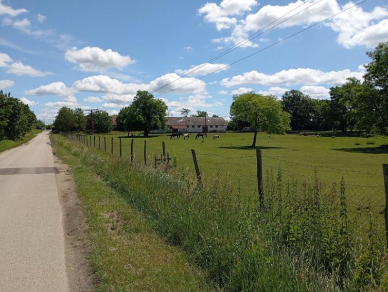 Lajoskomarom Baugrundstück mit Reitstall und Kaiserbaumbestand Grundstück kaufen