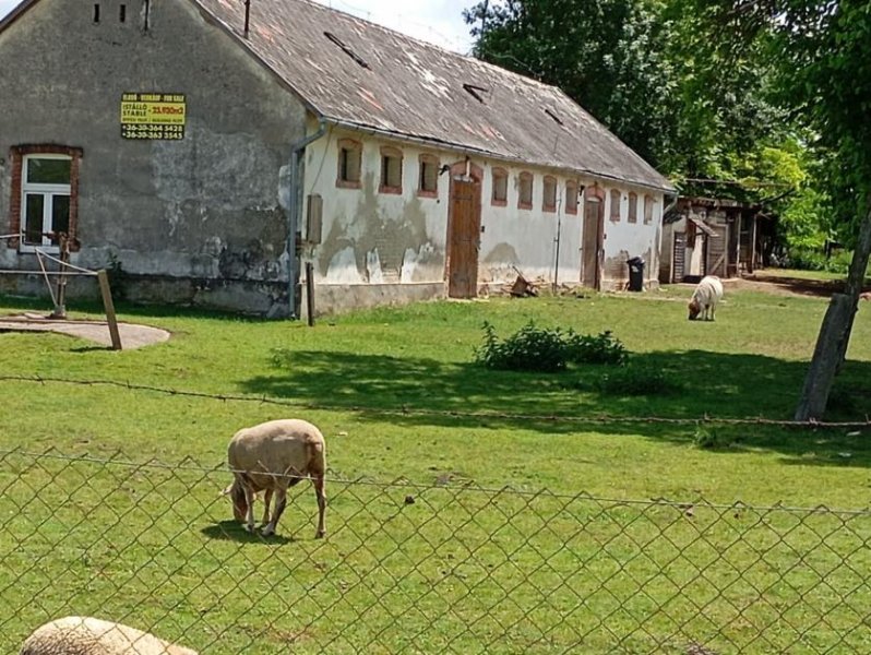 Lajoskomarom Baugrundstück mit Reitstall und Kaiserbaumbestand Grundstück kaufen