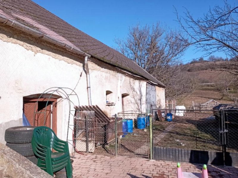 Nagyvázsony Günstiges,ideales landwirtschaftliches Anwesen zur Selbstversorgung abzugeben! Haus kaufen