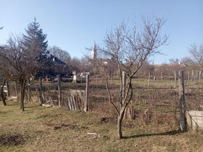 Nagyvázsony Günstiges,ideales landwirtschaftliches Anwesen zur Selbstversorgung abzugeben! Haus kaufen