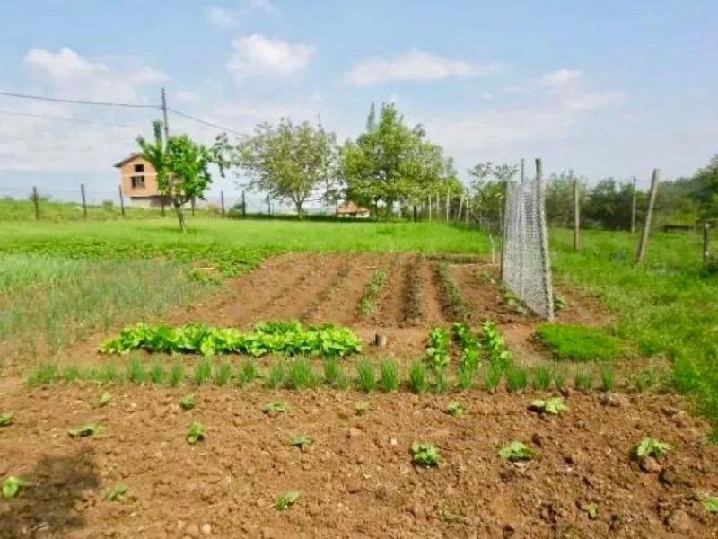 Sredets Landhaus in der Burgas Region Haus kaufen