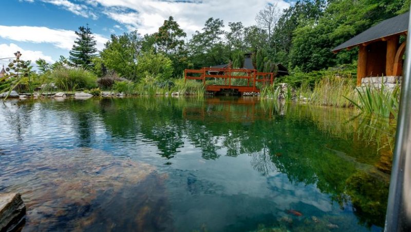 Balatongyörök Rarität! Großzügige Reetdach-Immobilie mit Schwimmteich und unverbaubarem Blick auf den Plattensee Haus kaufen