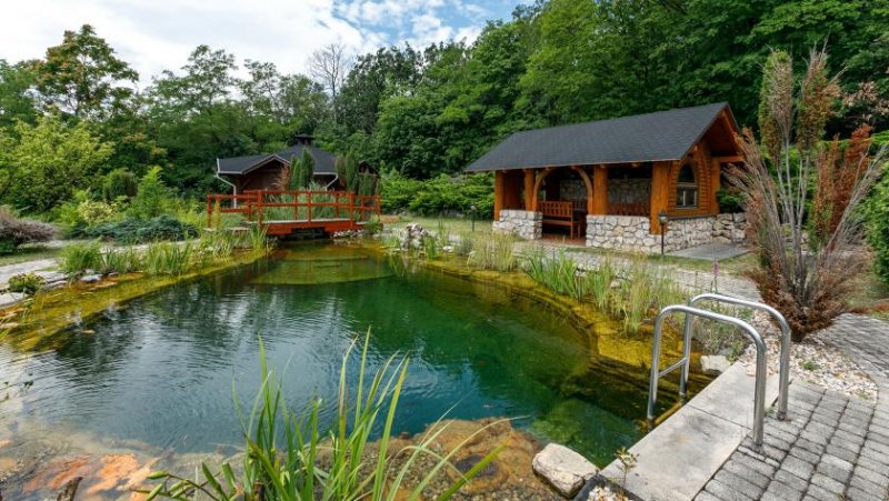 Balatongyörök Rarität! Großzügige Reetdach-Immobilie mit Schwimmteich und unverbaubarem Blick auf den Plattensee Haus kaufen