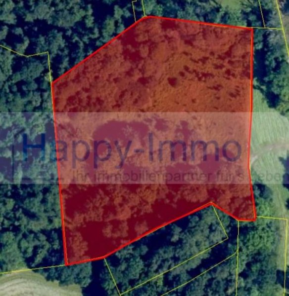 Rimsting 3 Grundstücke - 14286 qm Bauerwartungsland bzw. Wald in Rimsting Otterkring Grundstück kaufen
