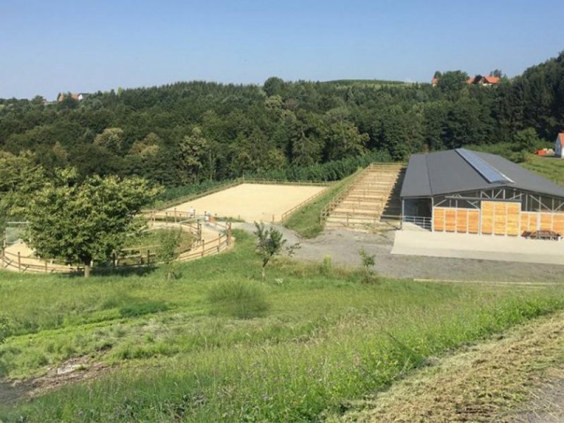 Edelsbach bei Feldbach Südost-Steiermark, nahe Ebersbach - private Reitimmobilie mit Pferdestall Haus kaufen