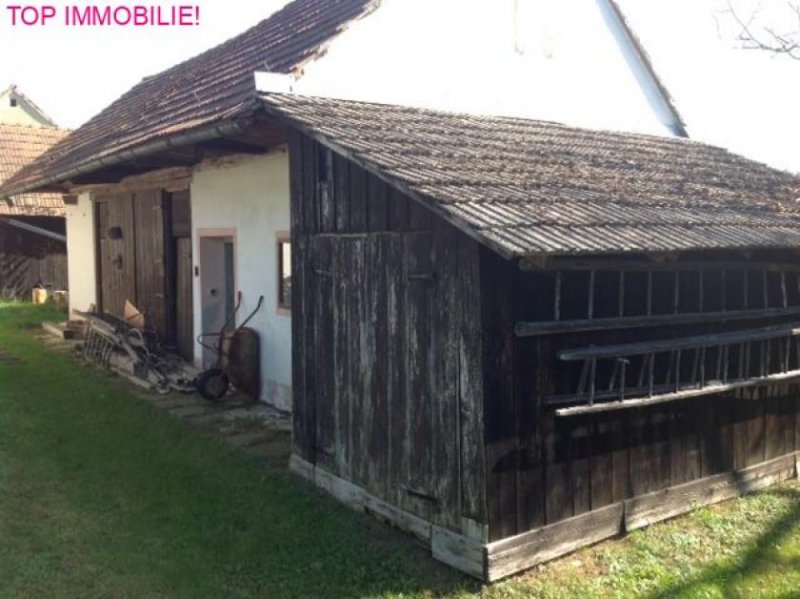 Doiberberg Bauernhaus mit viel Eigengrund und in Ruhelage! Haus kaufen