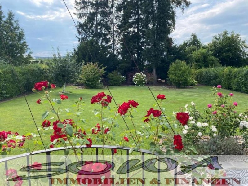 Neuburg an der Donau Hochwertiges Einfamilienhaus mit Terrase und Balkon auf großzügigem Grundstück mit Garage in ruhiger Lage in Neuburg - Ein