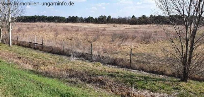 Somogy Megye - Balaton Wiese zu verkaufen in Balatonkeresztúr nähe Balaton Haus kaufen