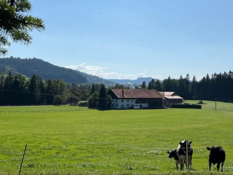 Maierhöfen Viel Platz in herrlicher Umgebung - Logenplatz zur Natur! Haus kaufen