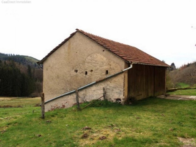 Plombières-les-Bains (bei) Autentisch erhaltene Farm mit Umschwung - 90 Min. von Basel u. Weil am Rhein Haus kaufen