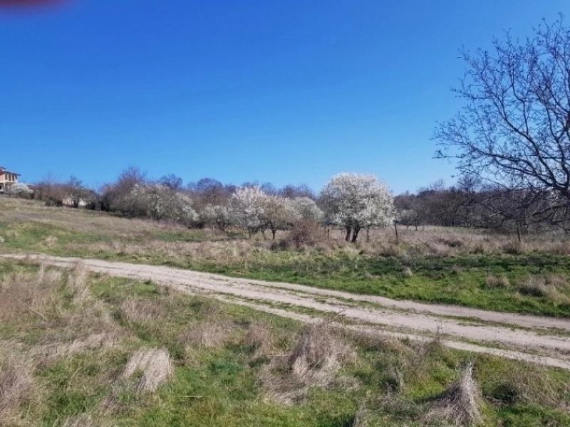 Priseltsi BULGARIEN, Nah VARNA: Seltenes Grundstück mit unverbauter Sicht, direkt im Dorf Priseltsi. 5 km vom Meer, windgeschützte