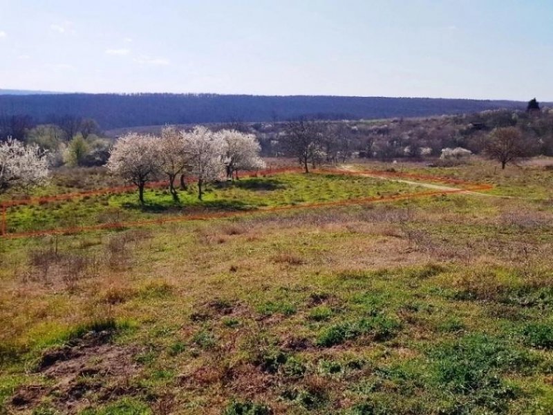 Priseltsi BULGARIEN, Nah VARNA: Seltenes Grundstück mit unverbauter Sicht, direkt im Dorf Priseltsi. 5 km vom Meer, windgeschützte