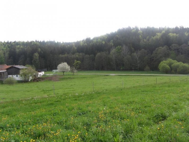 Pressath Landwirtschaftliche Fläche Naturpark Hessenreuther Wald Grundstück kaufen