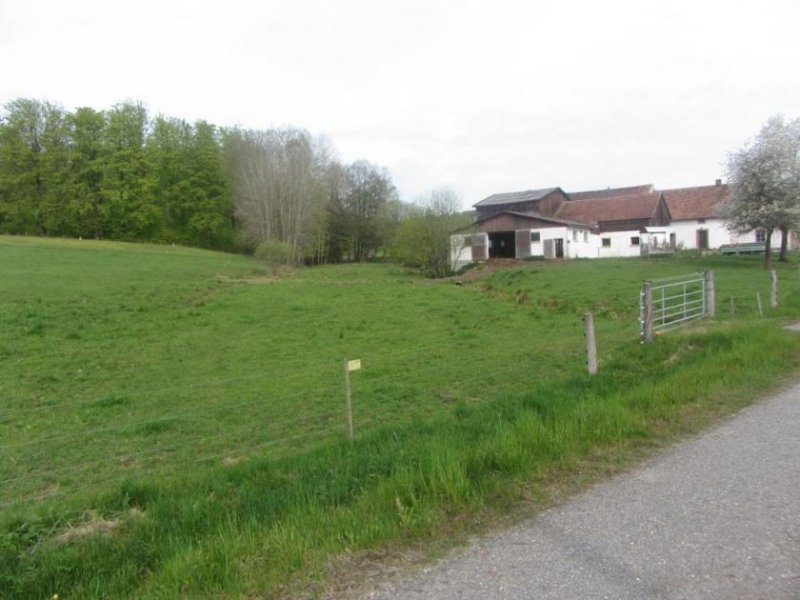 Pressath Landwirtschaftliche Fläche Naturpark Hessenreuther Wald Grundstück kaufen