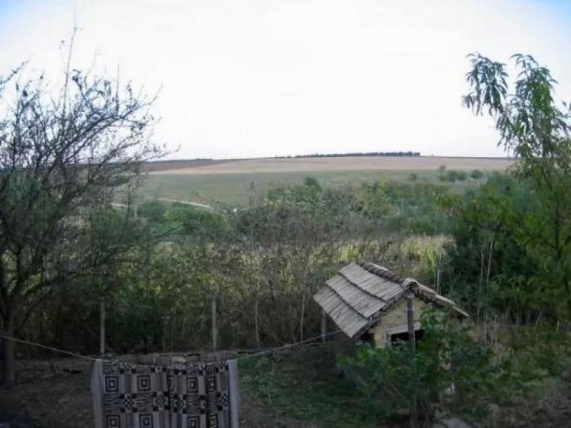 Dobrich Bulgarien, Dobrich, 4.500 €. Einstöckiges Haus mit Garten in einem Dorf in dem Engländer wohnen und das Geschäfte, und Haus