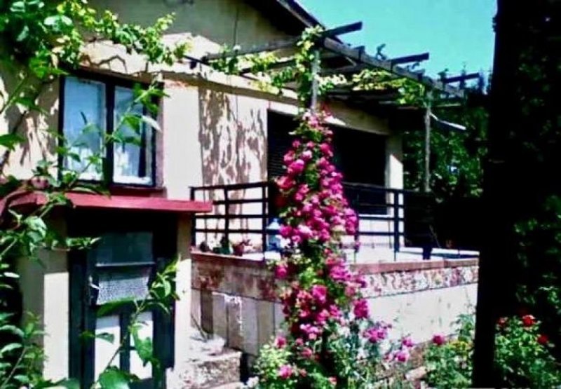 Dobrich Eine Augenweide für den Gartenliebhaber, ein Haus im Blütenmeer Haus kaufen