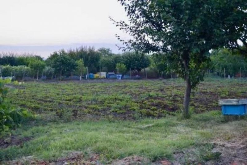 General Toshevo Bulgarien, Toshevo, 6.500 € Einstöckiges Haus mit Garten in einem ruhigen und friedlichen Dorf Haus kaufen