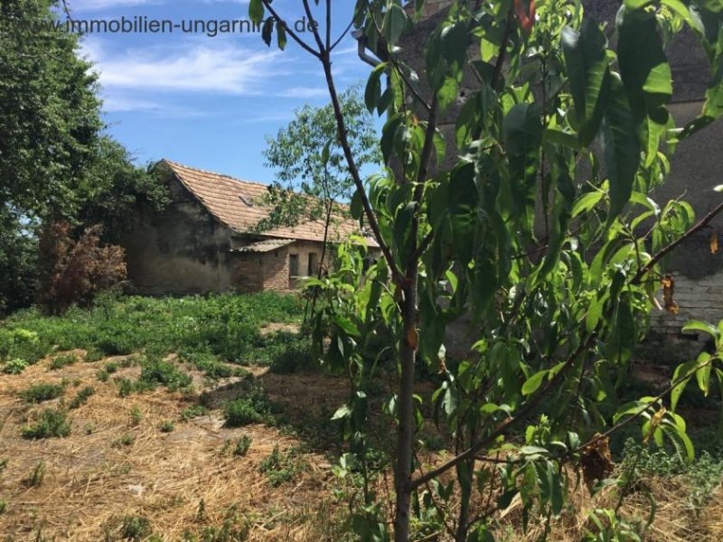 Vas Megye Bauernhaus in ruhige Lage Haus kaufen