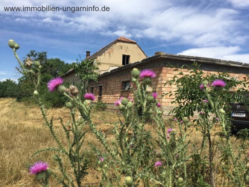 Vas Megye Bauernhaus in ruhige Lage Haus kaufen