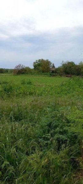 Chelopechene Bauland Chelopechene 18 km zu den Strändem Grundstück kaufen