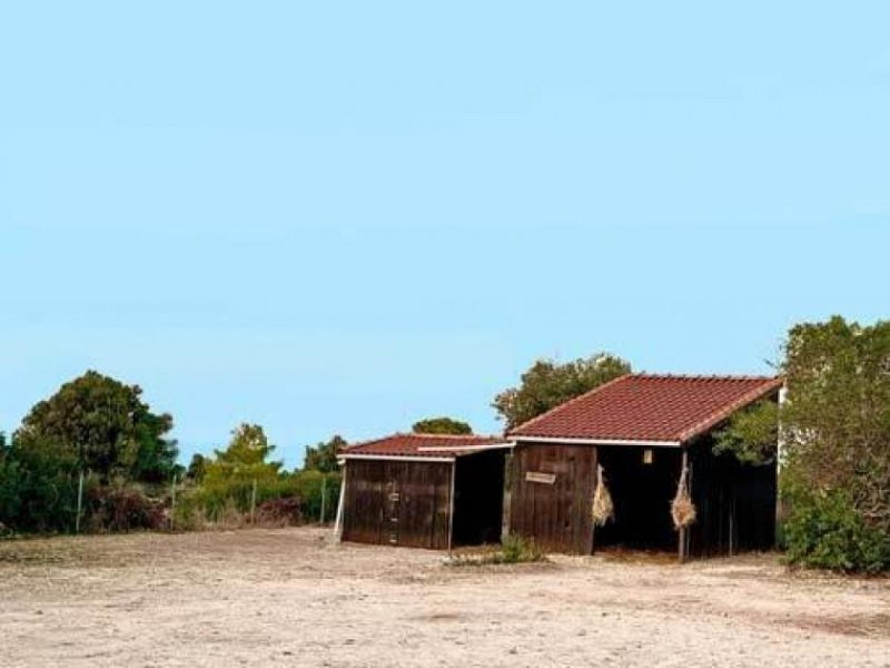 Esentepe Nord-Zypern, Esentepe - exklusive Villa mit Offenstall für Pferde zu verkaufen Haus kaufen