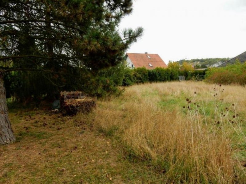 Ellrich Großes Baugrundstück, auch teilbar, in ruhiger Lage am Stadtrand von Ellrich im Südharz Grundstück kaufen