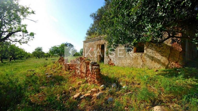 Albufeira Dieses große Grundstück befindet sich in Guia (Albufeira). Es enthält verschiedene Arten typischer Algarve-Obstbäume, eine