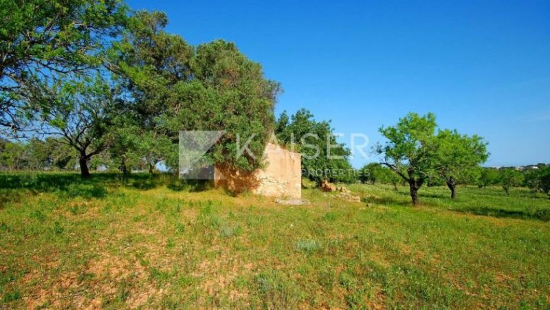 Albufeira Dieses große Grundstück befindet sich in Guia (Albufeira). Es enthält verschiedene Arten typischer Algarve-Obstbäume, eine