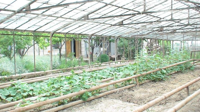 Artashat Ein hübsches Haus in Armenien mit Gewächshaus Haus kaufen