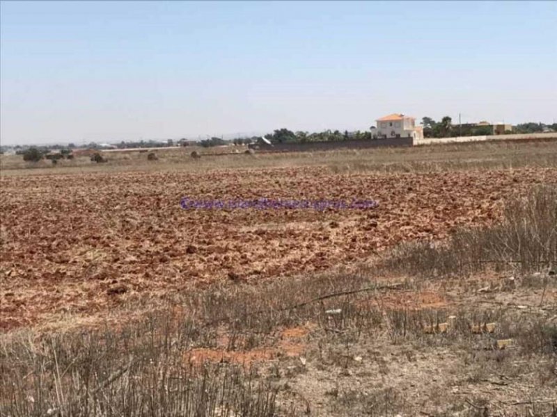 Avgorou LAVG118 - 17,253m2 plot of Agricultural Land in Avgorou Village,This large plot had road access and 7 water well points. The