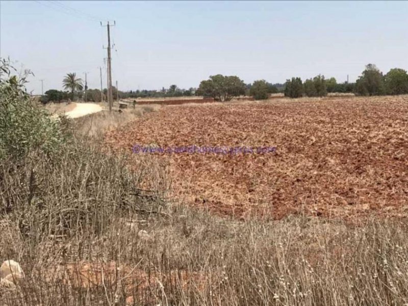 Avgorou LAVG118 - 17,253m2 plot of Agricultural Land in Avgorou Village,This large plot had road access and 7 water well points. The